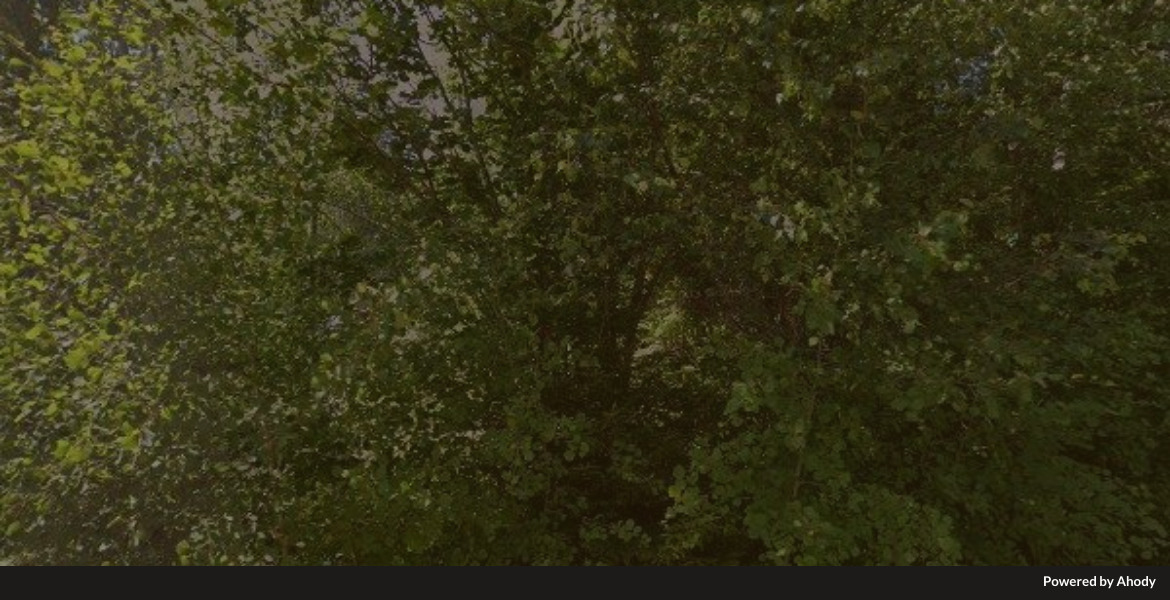 Langkarrsvagen_10-_761_98_Norrtalje-_Sweden_bannerbear.jpg