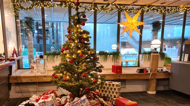 Julgran En jul för alla.jpg