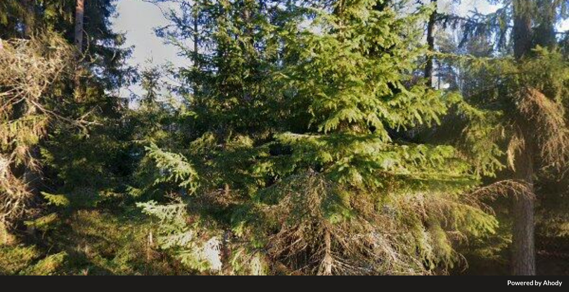 Svensboda_Kvarnvag_24-_761_12_Bergshamra-_Sweden_bannerbear.jpg